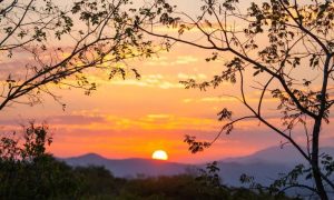 African Sunset