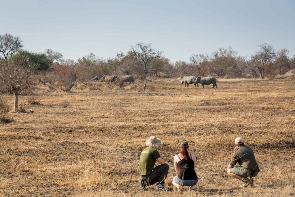 Walking Safari