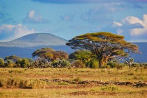 Masai Mara National Game Reserve